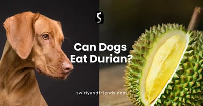 Can Dogs Eat Durian?