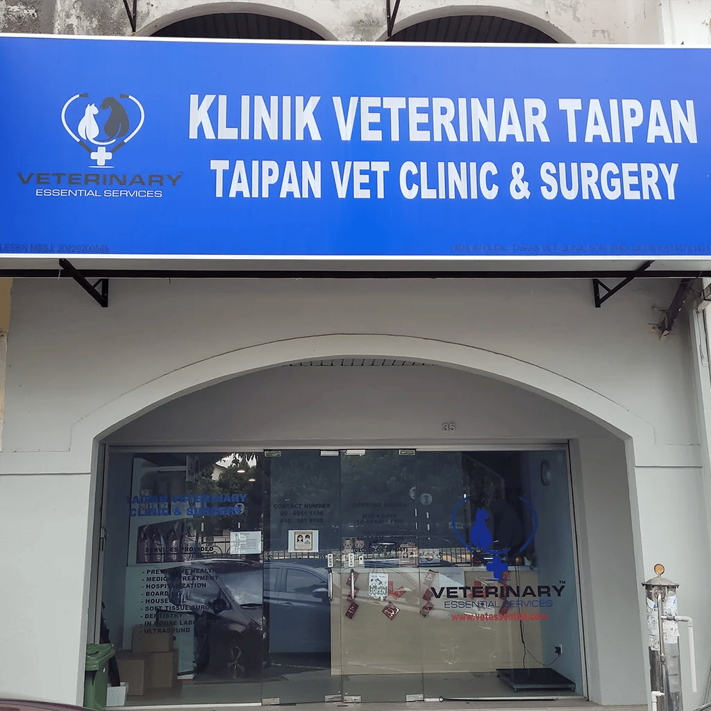 Taipan vet clinic and surgery