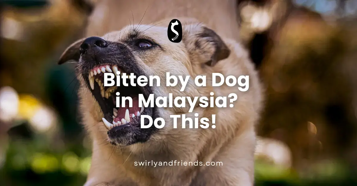 Bitten by a Dog in Malaysia? Do This!
