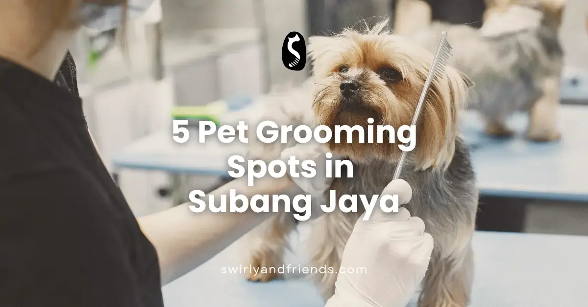 5 Pet Groomers in Subang Jaya