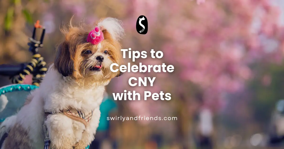 shi tzu dog in pram under pink flowers tips to celebrate cny with pets