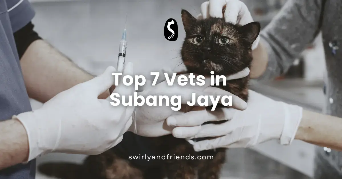 Top 7 Vets in Subang Jaya