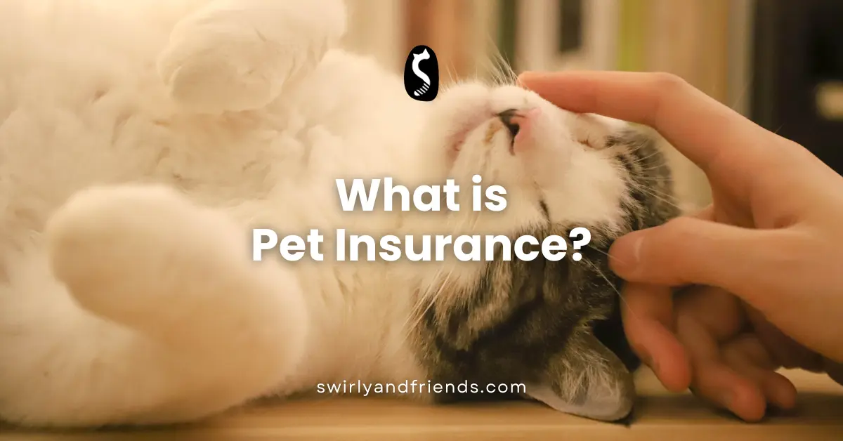 What is Pet Insurance